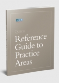 BCG Reference Guide To Practice Areas